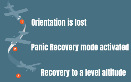 Panic Recovery